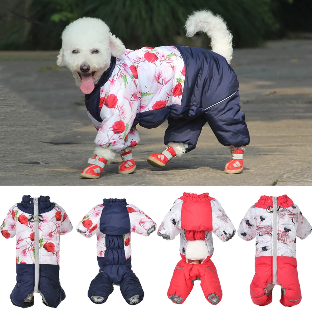 Roupas de Inverno para Animais - Winter Clothing Kids avaliação e preço
